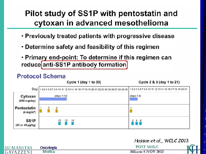 Hassan et al. , WCLC 2013 Oncologia Medica POST IASLC Milano 8 NOV 2013