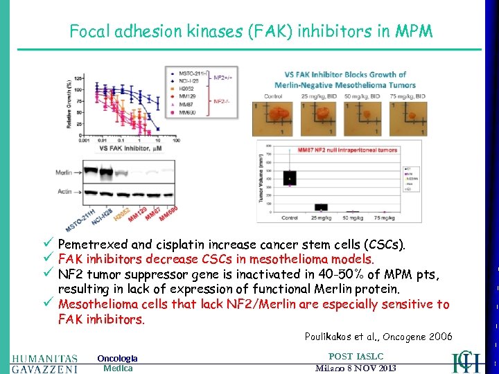 Focal adhesion kinases (FAK) inhibitors in MPM ü Pemetrexed and cisplatin increase cancer stem