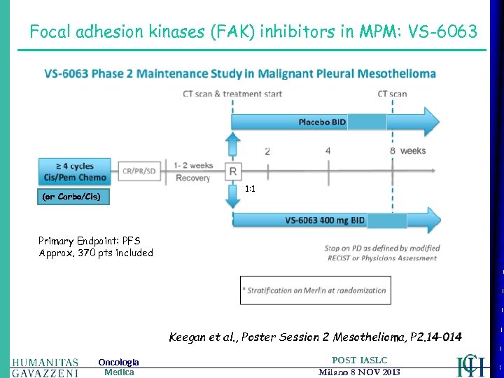 Focal adhesion kinases (FAK) inhibitors in MPM: VS-6063 (or Carbo/Cis) 1: 1 Primary Endpoint: