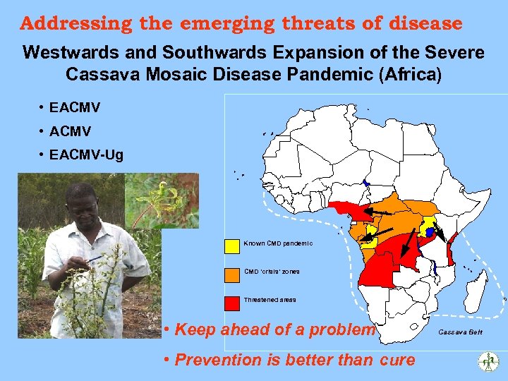 Addressing the emerging threats of disease Westwards and Southwards Expansion of the Severe Cassava