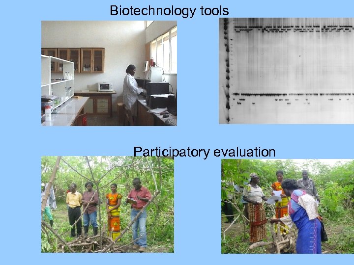 Biotechnology tools Participatory evaluation 