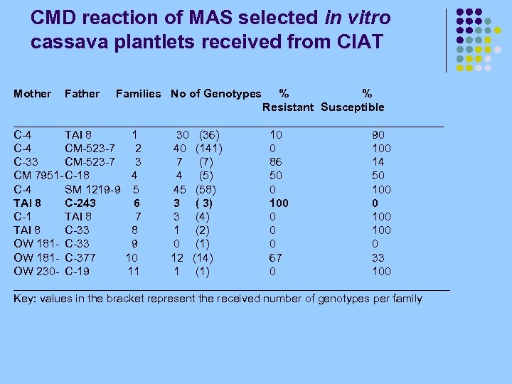 CMD reaction of MAS selected in vitro cassava plantlets received from CIAT Mother Families