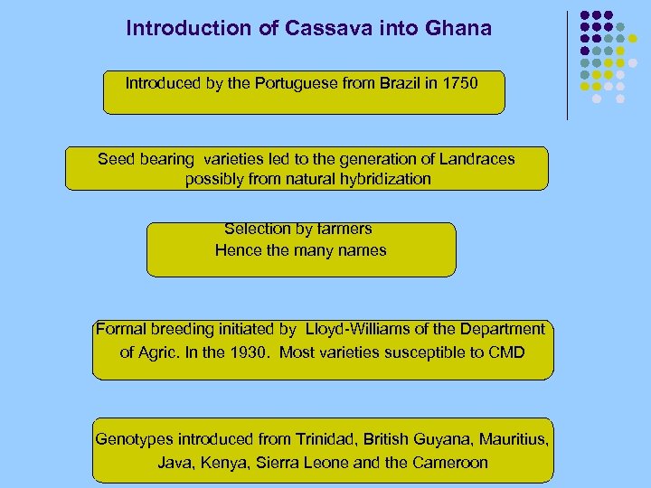 Introduction of Cassava into Ghana Introduced by the Portuguese from Brazil in 1750 Seed