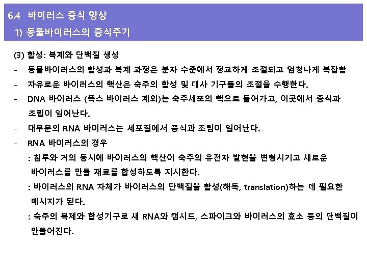 6. 4 바이러스 증식 양상 1) 동물바이러스의 증식주기 (3) 합성: 복제와 단백질 생성 -