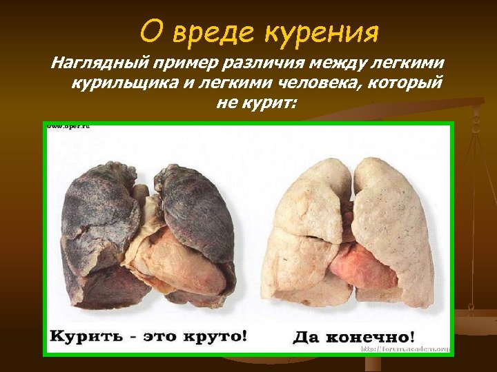 О вреде курения Наглядный пример различия между легкими курильщика и легкими человека, который не