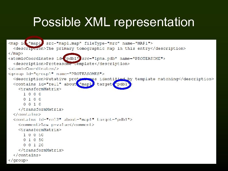 Possible XML representation 