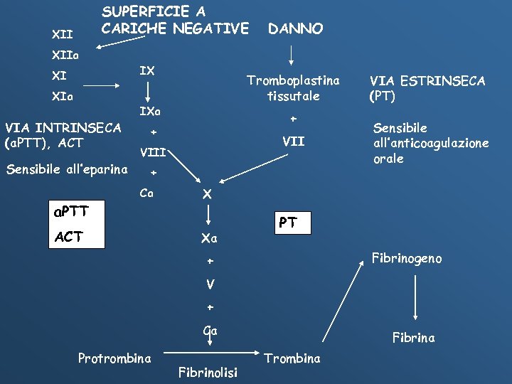SUPERFICIE A CARICHE NEGATIVE XII DANNO XIIa IX XI XIa VIA INTRINSECA (a. PTT),