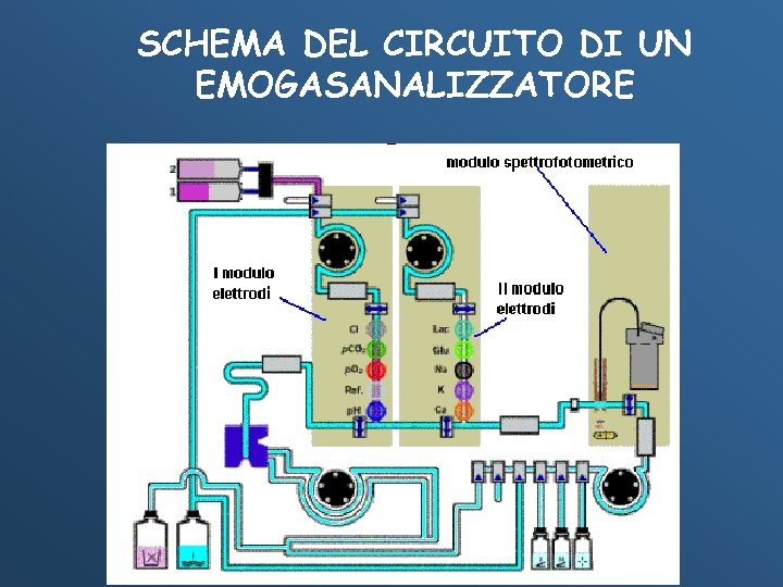 SCHEMA DEL CIRCUITO DI UN EMOGASANALIZZATORE 