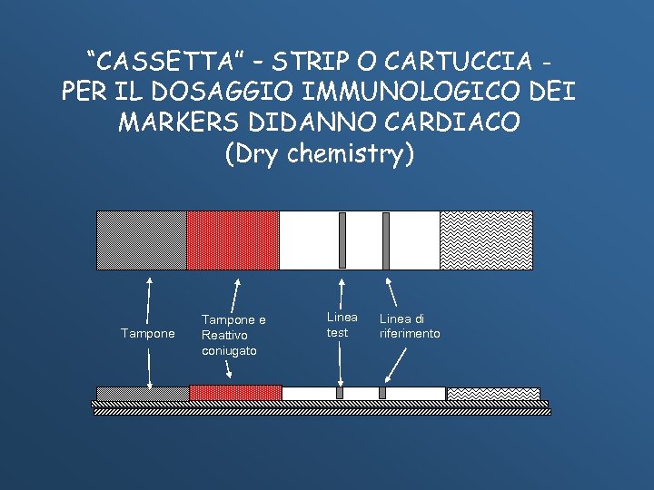 “CASSETTA” – STRIP O CARTUCCIA PER IL DOSAGGIO IMMUNOLOGICO DEI MARKERS DIDANNO CARDIACO (Dry