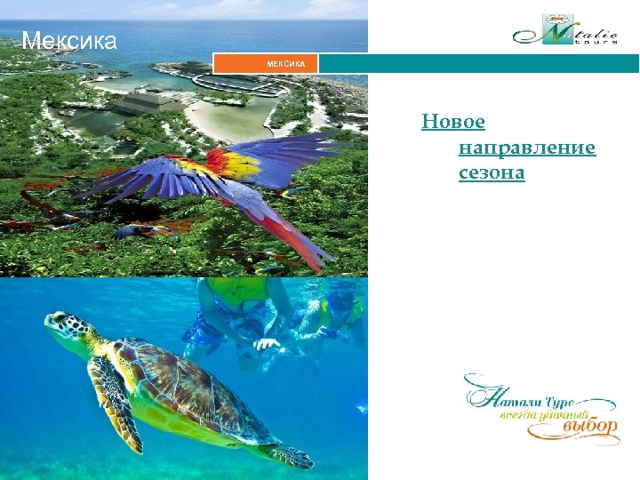 Мексика МЕКСИКА Новое направление сезона 