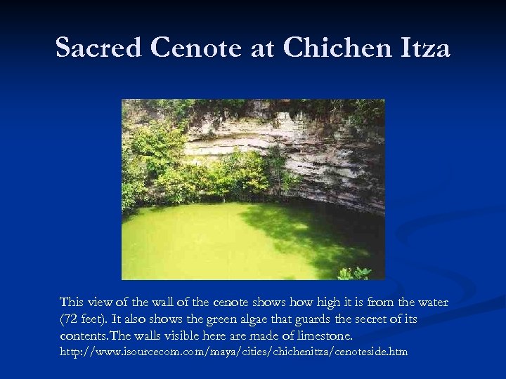 Sacred Cenote at Chichen Itza This view of the wall of the cenote shows
