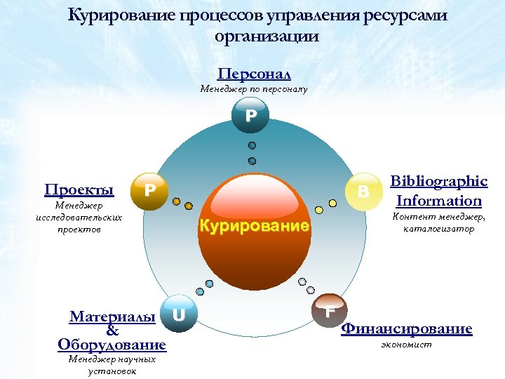 Курирование проекта это