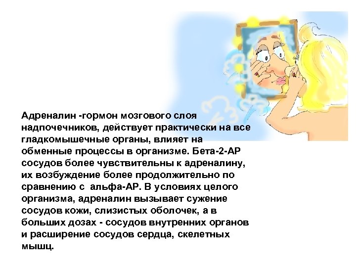 Адреналин -гормон мозгового слоя надпочечников, действует практически на все гладкомышечные органы, влияет на обменные