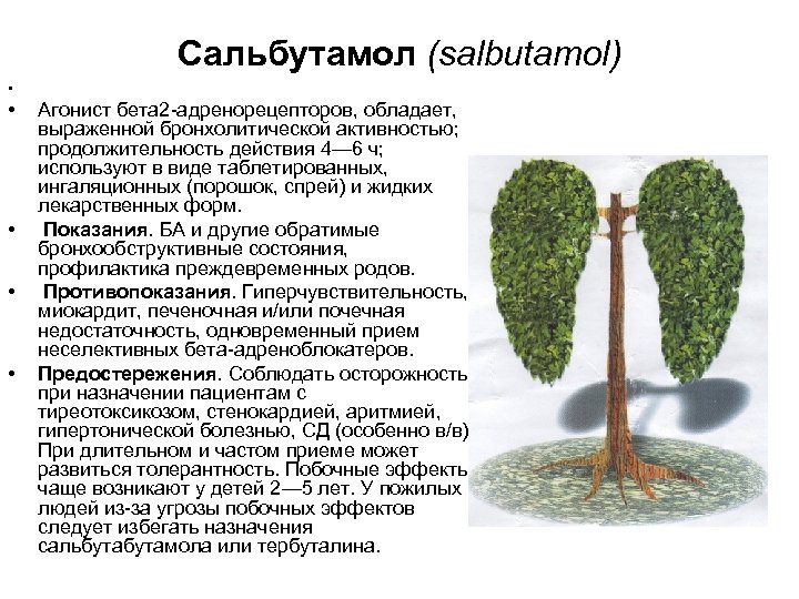 Сальбутамол (salbutamol) • • Агонист бета 2 адренорецепторов, обладает, выраженной бронхолитической активностью; продолжительность действия
