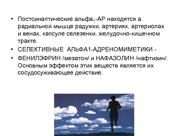  • Постсинаптические альфа 1 АР находятся а радиальной мышце радужки, артериях, артериолах и