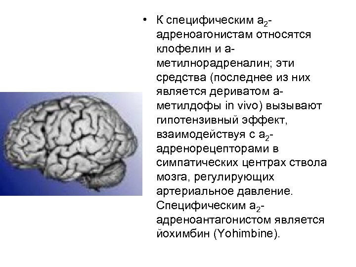  • К специфическим a 2 адреноагонистам относятся клофелин и а метилнорадреналин; эти средства