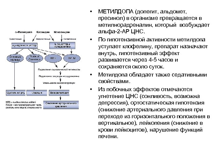 • • МЕТИЛДОПА (допегит, альдомет, пресинол) в организме превращается в метилнорадреналин, который возбуждает