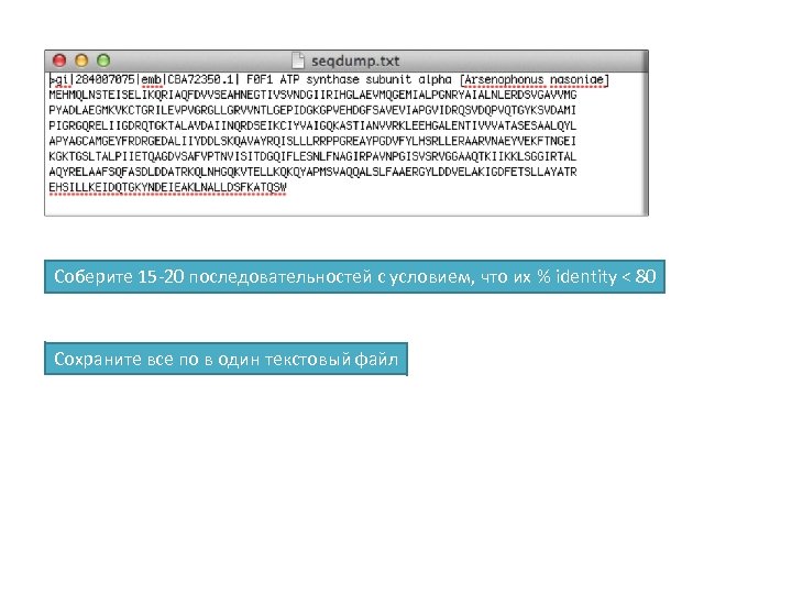 Соберите 15 -20 последовательностей с условием, что их % identity < 80 Сохраните все