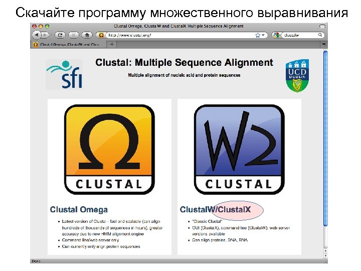 Скачайте программу множественного выравнивания 