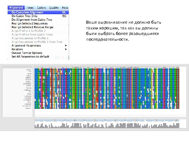 Ваше выравнивание не должно быть таким хорошим, так как вы должны были выбрать более