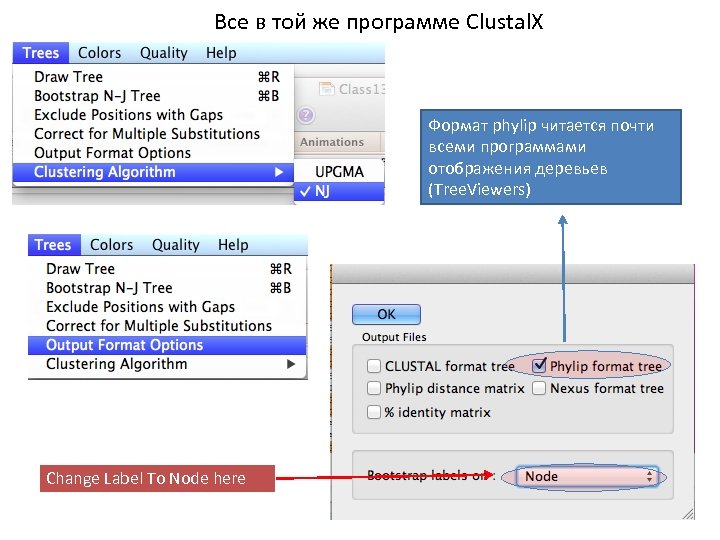 Все в той же программе Clustal. X Формат phylip читается почти всеми программами отображения