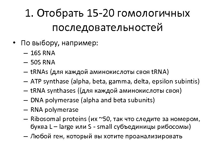 1. Отобрать 15 -20 гомологичных последовательностей • По выбору, например: 16 S RNA 50