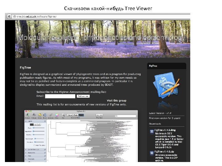 Скачиваем какой-нибудь Tree Viewer 