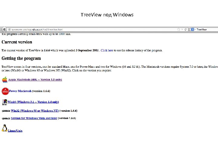 Tree. View под Windows 