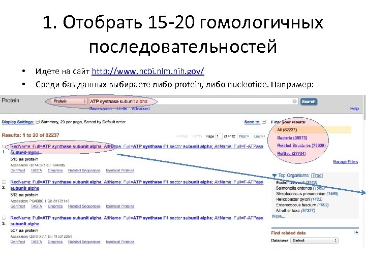 1. Отобрать 15 -20 гомологичных последовательностей • • Идете на сайт http: //www. ncbi.