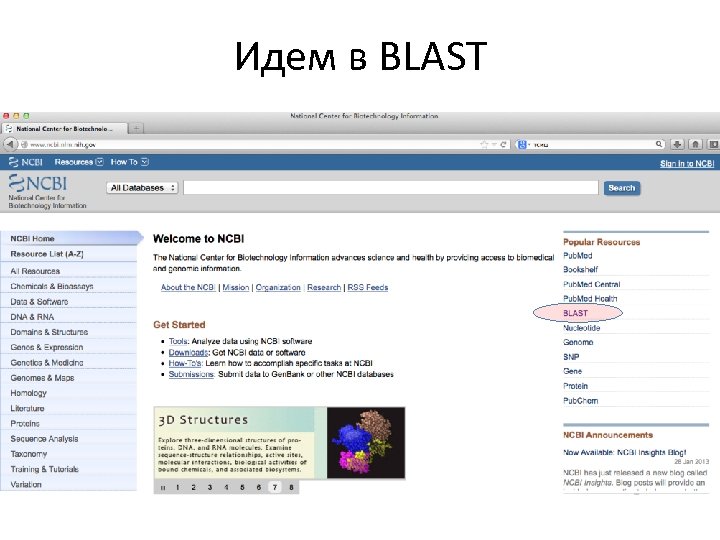 Идем в BLAST 