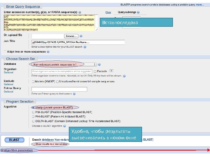 Вставпоследова Удобно, чтобы результаты высвечивались в новом окне 