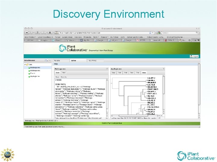 Discovery Environment 