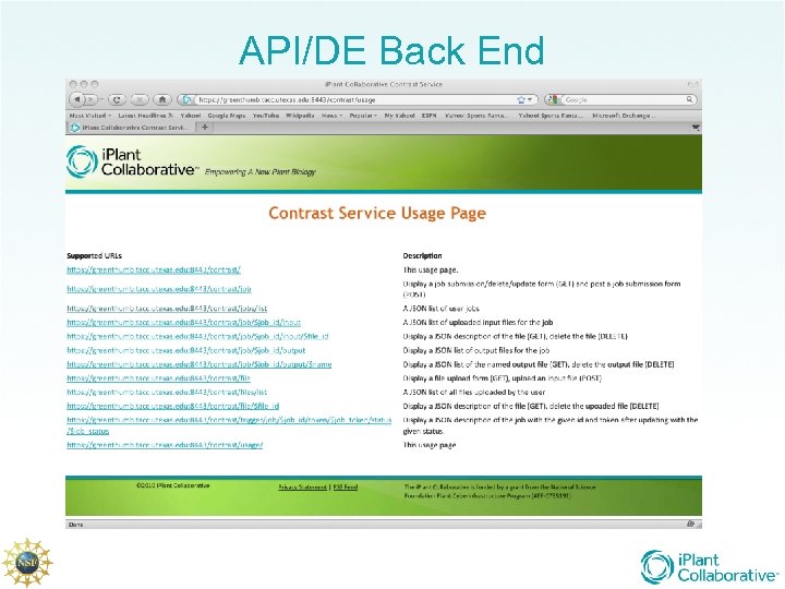 API/DE Back End 
