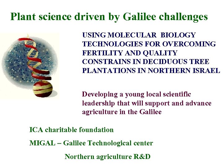 Plant science driven by Galilee challenges USING MOLECULAR BIOLOGY TECHNOLOGIES FOR OVERCOMING FERTILITY AND