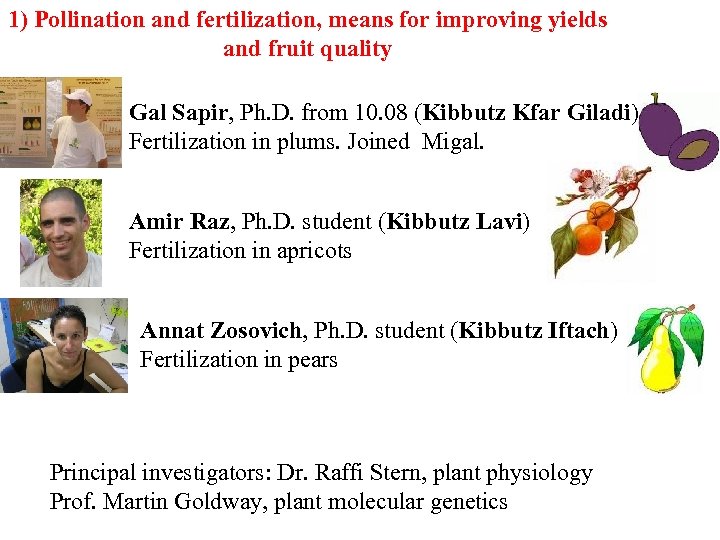 1) Pollination and fertilization, means for improving yields and fruit quality Gal Sapir, Ph.