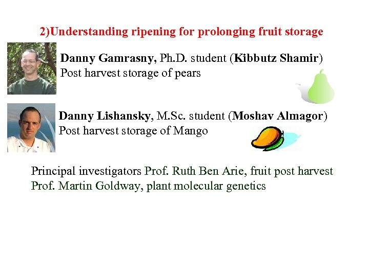 2)Understanding ripening for prolonging fruit storage Danny Gamrasny, Ph. D. student (Kibbutz Shamir) Post