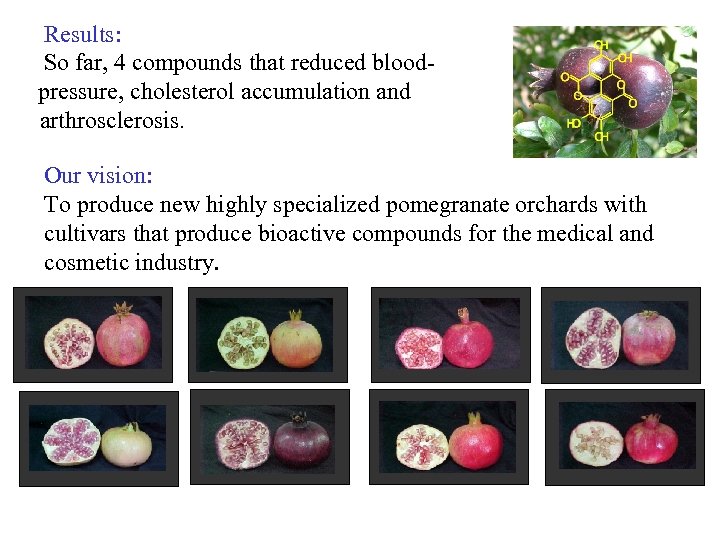 Results: So far, 4 compounds that reduced bloodpressure, cholesterol accumulation and arthrosclerosis. Our vision: