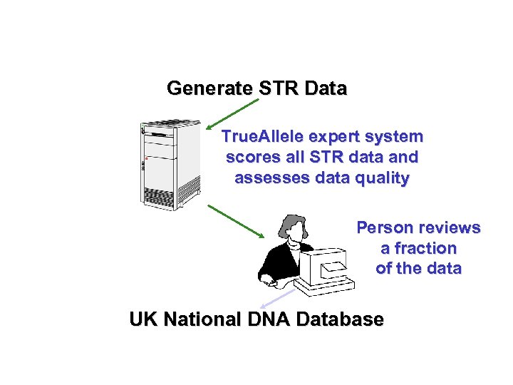 Generate STR Data True. Allele expert system scores all STR data and assesses data