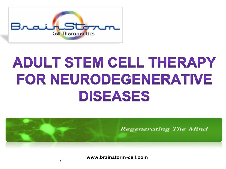 1 www. brainstorm-cell. com 