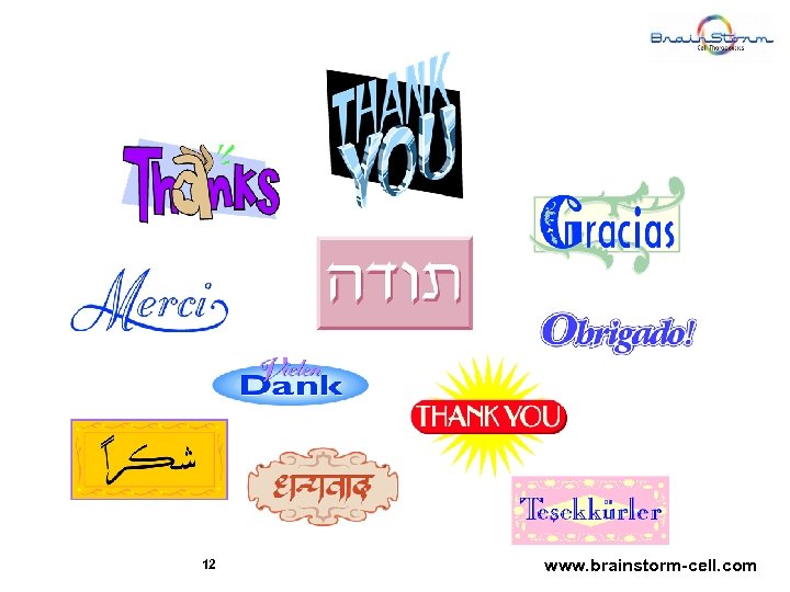 12 www. brainstorm-cell. com 