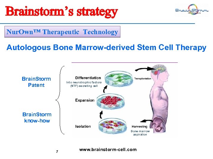 Brainstorm’s strategy Nur. Own™ Therapeutic Technology Autologous Bone Marrow-derived Stem Cell Therapy Brain. Storm