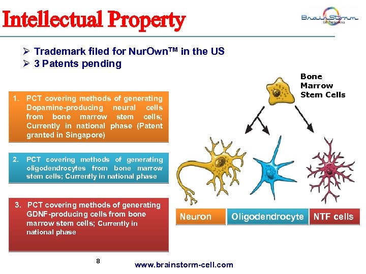 Intellectual Property Ø Trademark filed for Nur. Own. TM in the US Ø 3