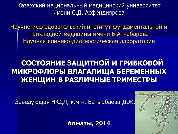 Казахский национальный медицинский университет имени С. Д. Асфендиярова Научно-исследовательский институт фундаментальной и прикладной медицины