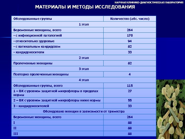 НАУЧНАЯ КЛИНИКО-ДИАГНОСТИЧЕСКАЯ ЛАБОРАТОРИЯ МАТЕРИАЛЫ И МЕТОДЫ ИССЛЕДОВАНИЯ Объем проведенных исследований при взятий материала Обследованные