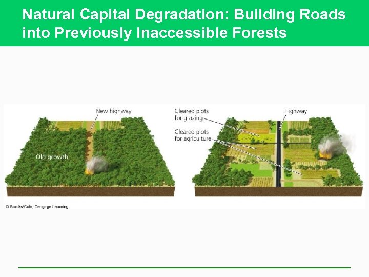 Natural Capital Degradation: Building Roads into Previously Inaccessible Forests 
