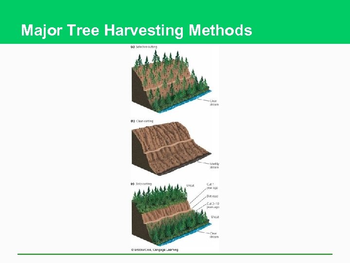 Major Tree Harvesting Methods 