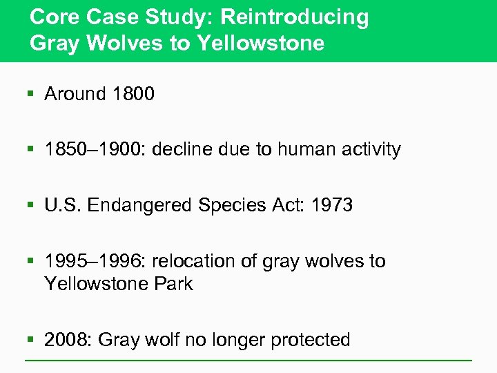 Core Case Study: Reintroducing Gray Wolves to Yellowstone § Around 1800 § 1850– 1900: