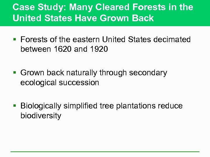 Case Study: Many Cleared Forests in the United States Have Grown Back § Forests