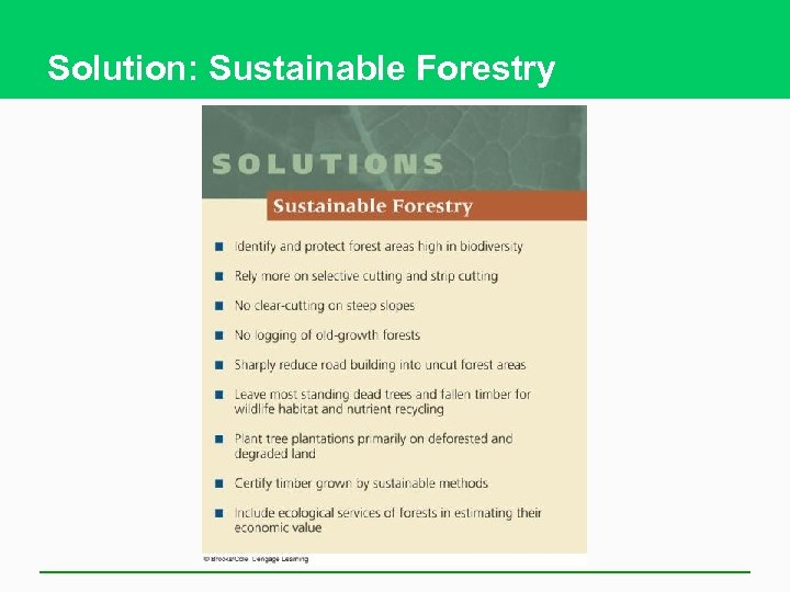 Solution: Sustainable Forestry 