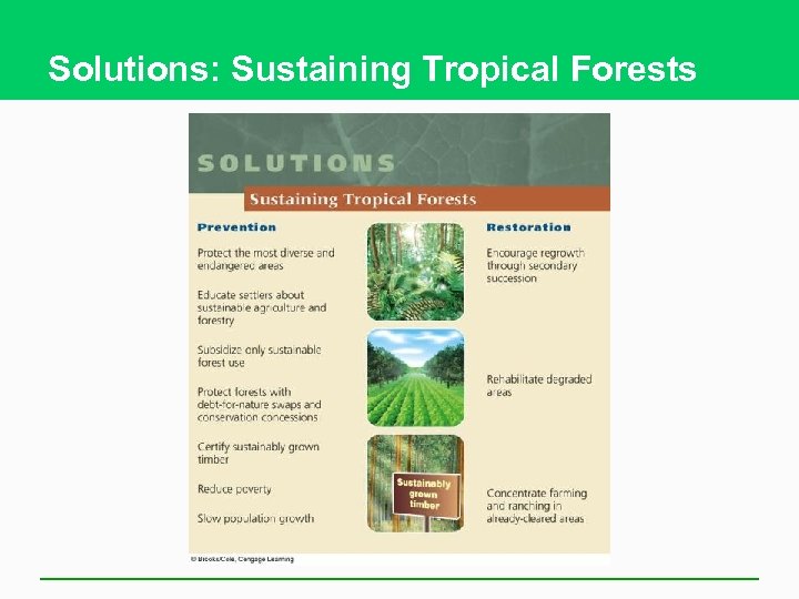 Solutions: Sustaining Tropical Forests 